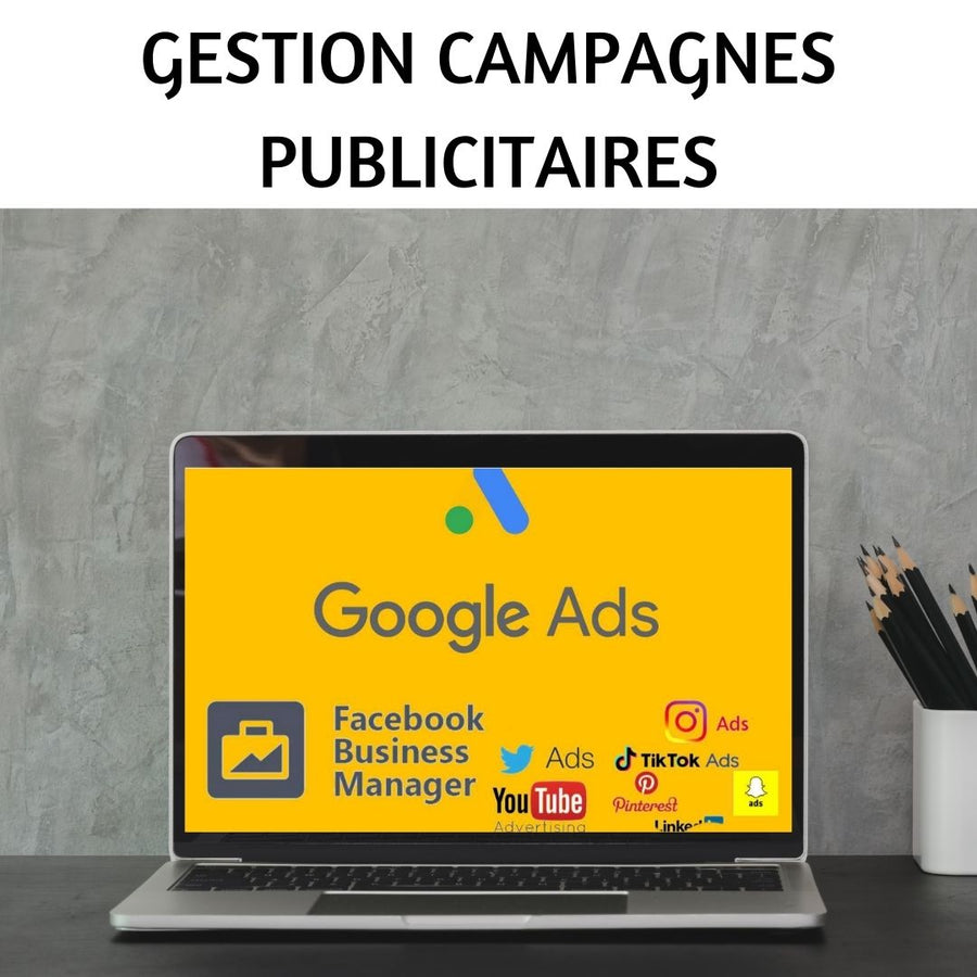Mise en place et Gestion de campagnes publicitaires